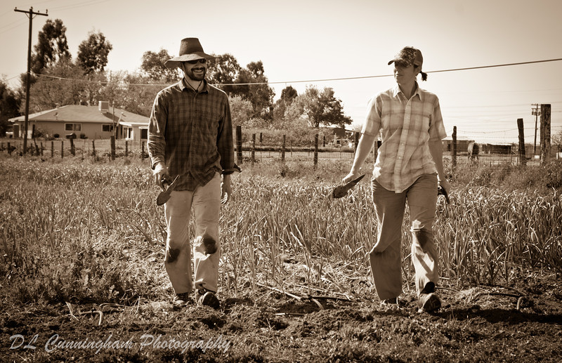 photo of Feeding Crane Farms by DL Cunningham