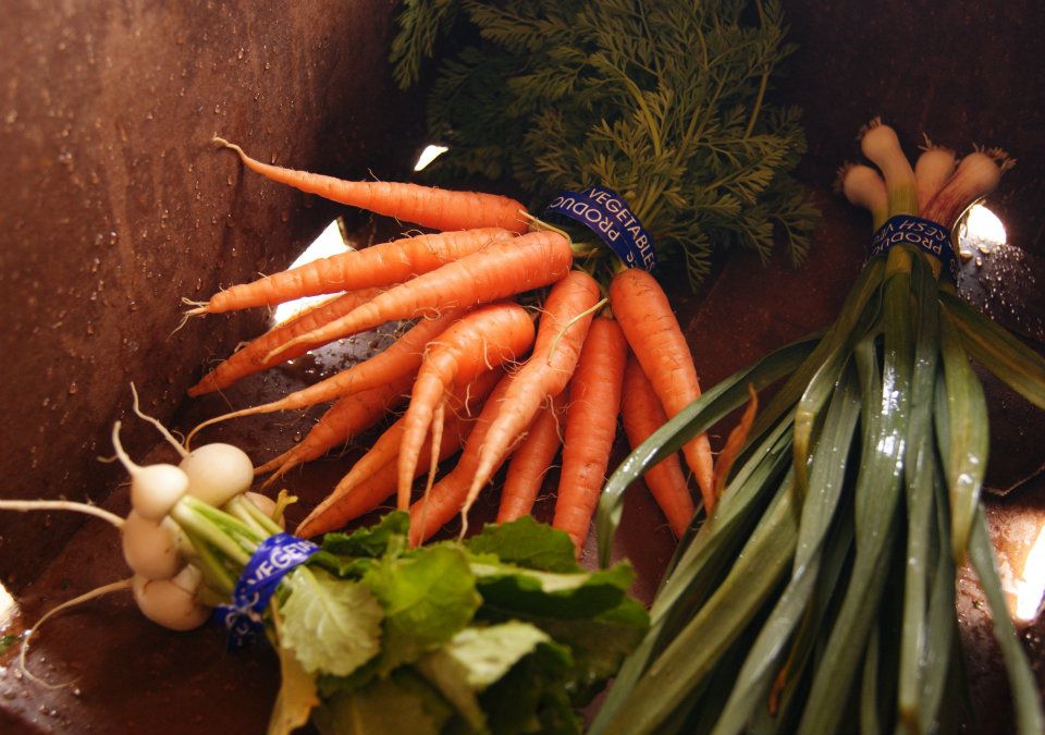 Photo of a typical CSA box